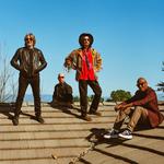 Mike Campbell & The Dirty Knobs