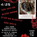 Alleycats DIY Presents Ivy's Fundraiser Show