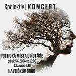 Spolektiv - Poetická místa U Notáře