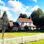 Tunehead LIVE at the Beech Tree Festival