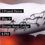 5 Pound Horse return to one of their favorite spots