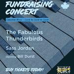 Kitchener Blues Festival 2026
