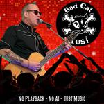 Bad Cat Kusi @Food Triuck Festival Sissach BL