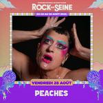 Rock en Seine 2026