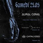 Concert au Citrons Masqués