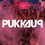 Pukka Up - Ibiza Boat Party