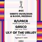 Tutto Il Nostro Sangue vol. 65 • Bloom • Mezzago