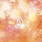 New Healing Festival 2026
