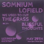 Somnium, Lofield, We Used to Cut the Grass & Blissful Thoughts