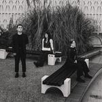 The Hausplants