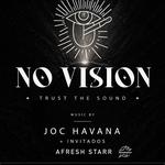 NO VISION