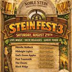 Stein Fest 3