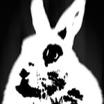 Sergeant Hare Apollo