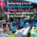 Guitardog Live