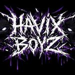 Havix Boyz