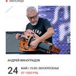 Концерт Андрея Виноградова (hurdy-gurdy)