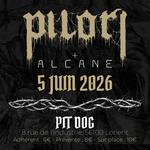 PILORI | ALCANE - PIT DOG, Lorient (56)