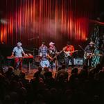 Honeybear in Edmonton