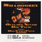 Outlaws Never Die Tour