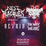  Nest of Plagues, Pandora’s Curse, Devoid, The Way We Are @ Budapest, Analog Music Hall