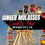 Ginger Molasses at Nevada County Fair