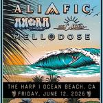 Ocean Beach, CA - Alific, ANORA, Mellodose, & One Culture