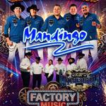 Hereford, Texas, USA ( Factory Music )