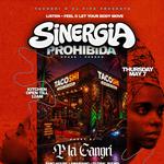 Sinergia Prohibida House Afro House Amapiano & More