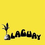 Olaguay