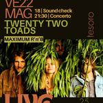 Twenty Two Toads live @tesoro cafe
