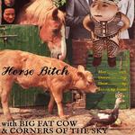 Horse Bitch / Big Fat Cow / Corners of the Sky @ Hillsiders