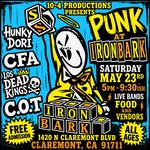 Punk at Ironbark