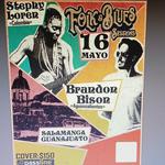 Brandon Bison y Stephyloren