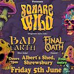 Square Wild + support at Albert’s Shed