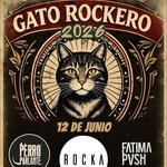 Gato Rockero
