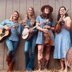 Ligonier Valley Bluegrass Festival 2026 // Black-Eyed Suzies