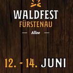 Waldfest Fürstenau Party Dome