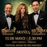 Festival Mamá de mis Amores