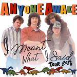 I Meant What I Said Tour
