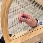 楽器の日、6月6日「はじめての金属弦アイリッシュ・ハープ」