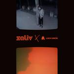 Music Video Presentation — ZALIV × Luch Union