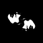 Spotless Souls, Juppe
