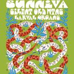 Sunniva x Silent Old Mtns. x Larval Organs at Cafe Nola