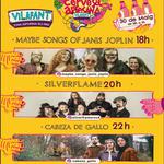 Festa Transfronterera de la Cervesa Artesana 2026