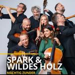 Mächtig Zunder - SPARK und Wildes Holz