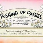 Pushing Up Daisies Festival