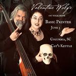Basic Printer, Death Ray Robin, Valentine Wolfe- Original Music