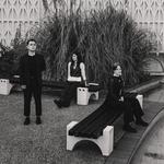 The Hausplants