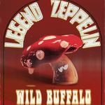 Legend Zeppelin live at Wild Buffalo