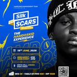 Silk and scars concert